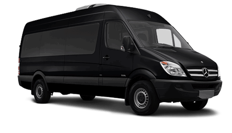 limo sprinter for corporate travel in the woodlands tx