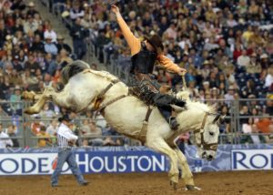 Houston Rodeo Transportation & Houston Rodeo Limousine Service Limos, Party Buses, Shuttles, Sedans, SUVs