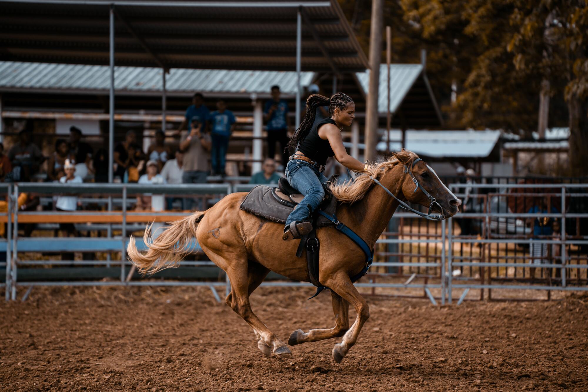 Discover the Ultimate Guide to Houston Rodeo Transportation